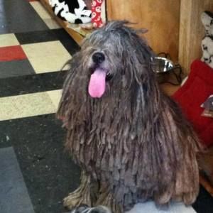 Meet your Posher, Cindra